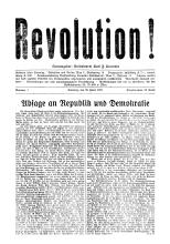 Revolution! Wien 1919